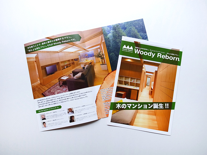 woodyreborn_catalog02